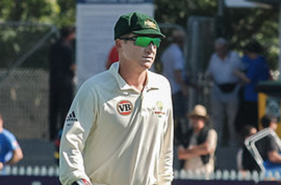 Cricket Australia and Cricket NSW pay tributes to Brad Haddin 
