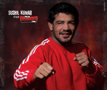 I will always support fellow wrestlers: Sushil