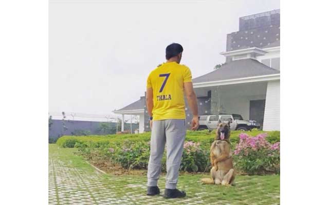 MS Dhoni welcomes CSK's return to IPL next year