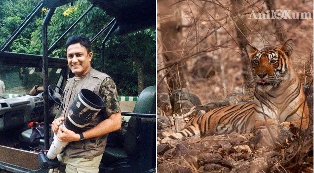 Anil Kumble appeals to save tiger on International Tiger Day