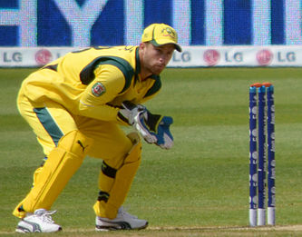 Matthew Wade named Australian ODI team skipper for NZ series