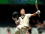 Tim Paine's decision to declare innings anger several fans as David Warner was batting at unbeaten 335