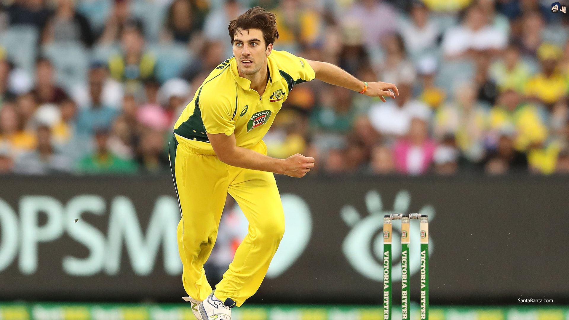 Australia likely to play 3 T20s, as many ODIs in England on Sept 4: Reports