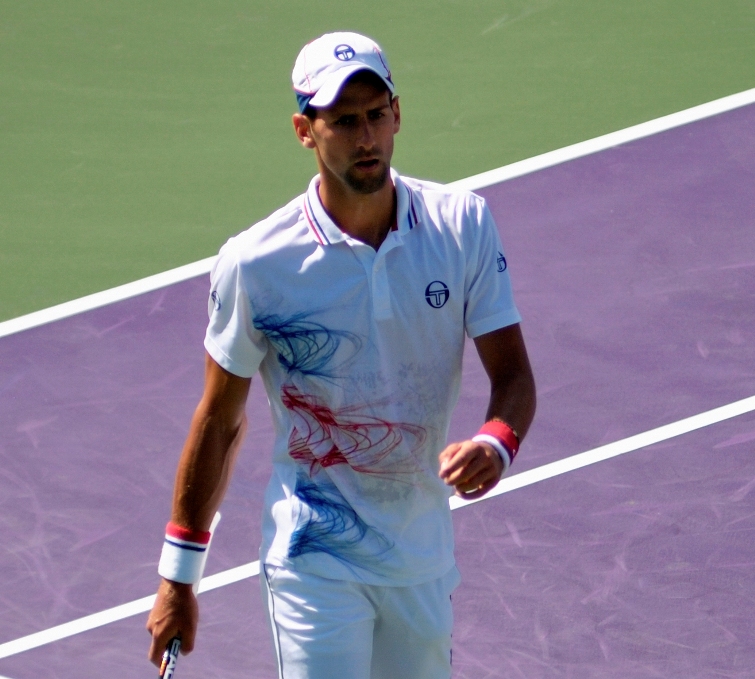 Novak Djokovic returns to No 1 in ATP Rankings