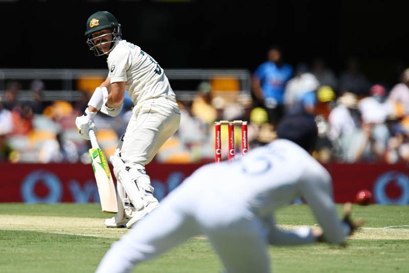 Brisbane Test: Australia steady after losing initial wickets