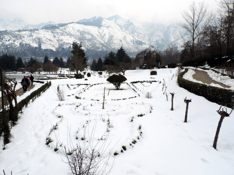 Boosting winter sports: Srinagar witnesses first-ever snowshoe run
