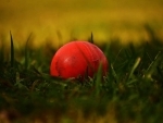Former West Indies wicket-keeper David Murray dies