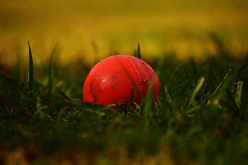 Former West Indies wicket-keeper David Murray dies