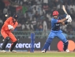 Cricket World Cup 2023: Afghanistan gain two crucial points outplaying Netherlands