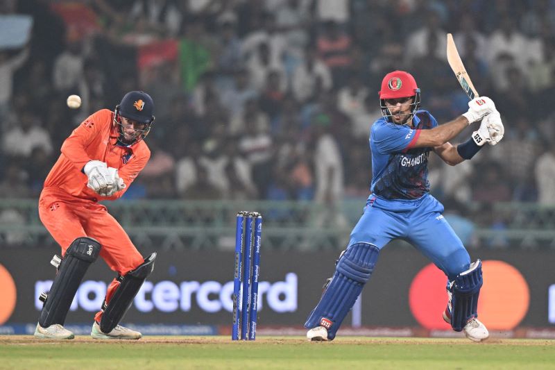Cricket World Cup 2023: Afghanistan gain two crucial points outplaying Netherlands