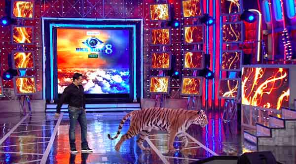 Tiger visits Salman Khan on the set of Bigg Boss 8