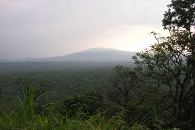 DR Congo: UN applauds oil firm's decision to halt exploration 