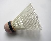 World Badminton Championship: Sindhu settles fro bronze 