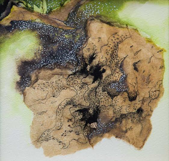 Gallery Sanskriti  organizes 'Disappearing Dialogues' exhibition in Kolkata