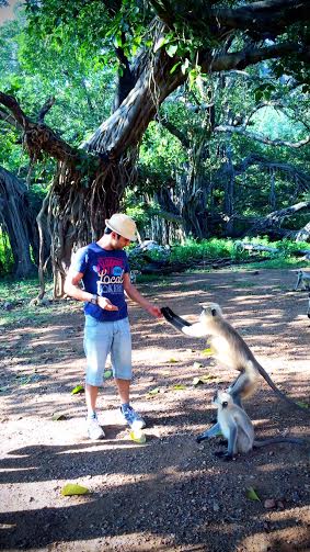 Pulkit Samrat goes on jungle safari