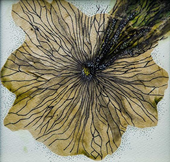 Gallery Sanskriti  organizes 'Disappearing Dialogues' exhibition in Kolkata