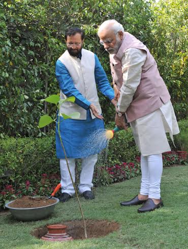 PM plants "Kadamb" sapling on World Environment Day