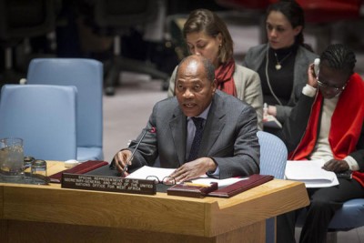 Senior UN official warns Security Council of 'fragile political situation' in West African countries