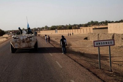 Security Council demands immediate end to hostilities in Mali