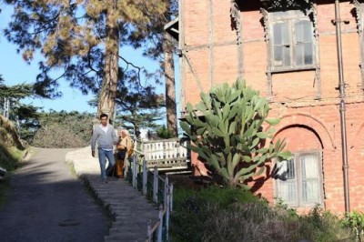Ranbir's nostalgic solitary strolls in Shimla