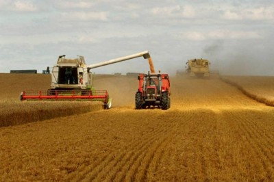 World food prices hit lowest level in almost seven years: FAO