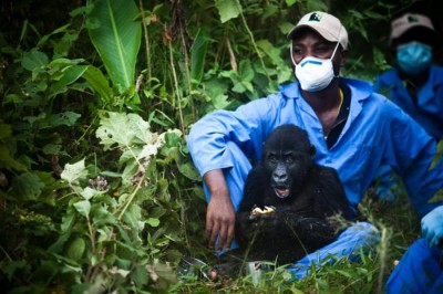 National Geographic Society wins UN environmental prize for science and innovation