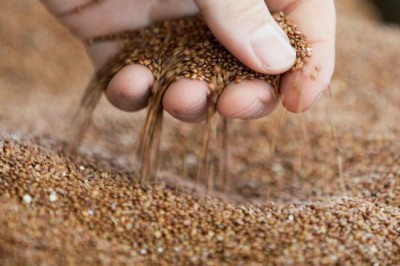 'Vicious circles linking violence and hunger' must end â€“ UN agriculture chief