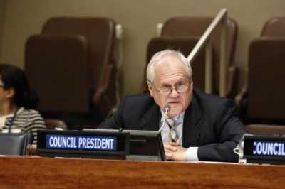 Partnerships key for future development agenda, says UN Economic, Social Council President