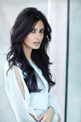 Abhay Deol, Diana Penty to Star in 'Happy Bhaag Jayegi'