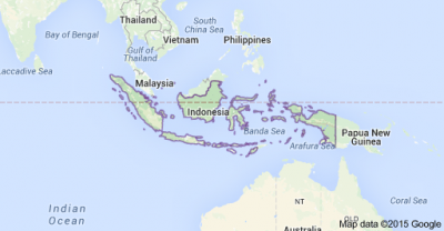 All 54 passengers of the Indonesian plane that crashed are dead