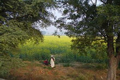 Under-construction church vandalized  in Haryana