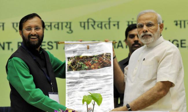 India should be a global leader in fight against climate change: PM Modi