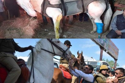 BJP lawmaker Ganesh Joshi sent to 14 days judicial custody