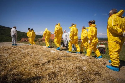 UN agriculture agency warns of threat to food security from overuse of antibiotics