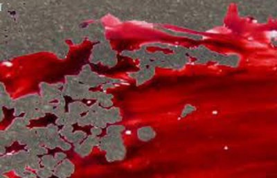 Chennai: Woman Infosys employee hacked to death at railway station