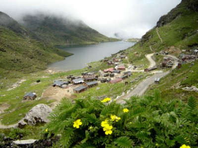 TN tops with 32% decadal growth in investments attracted by irrigation sector across India: Study