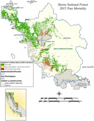 NASA maps California drought effects on Sierra Trees