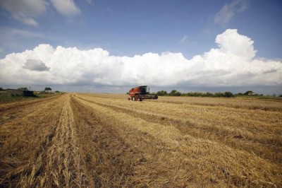 New products and technologies needed to aid small farmers, UN agriculture chief says