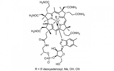 Low levels of Vitamin B12 a big concern in India: SRL Study