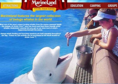 Marineland in Niagara Falls accused of animal cruelty, counters charges