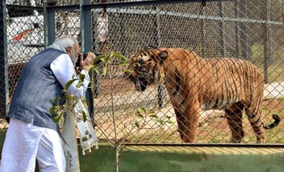Prime Minister Narendra Modi tries his hand at wildlife photography