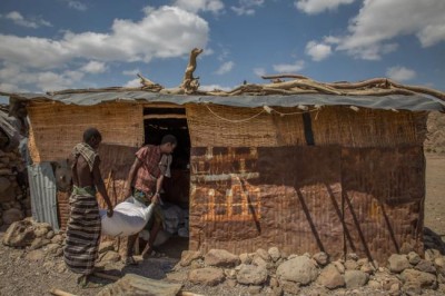 WHO and partners appeal for $2.2 billion with humanitarian health needs at â€˜all-time highâ€™      