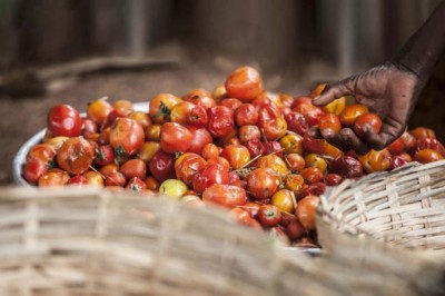 UN announces first-ever global standard to measure food loss and waste