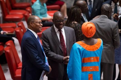 West Africa and Sahel must step up intelligence gathering, UN envoy tells Security Council