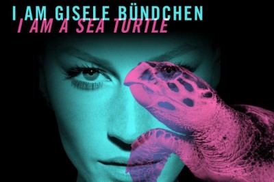 UN launches unprecedented #WildforLife campaign to end illegal trade in wildlife