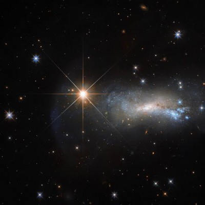 Hubble's bright shining Lizard Star