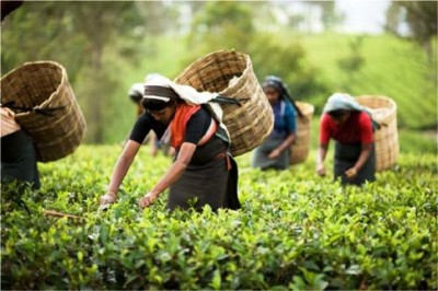 Abducted Delhi-based tea estate manager released after a week