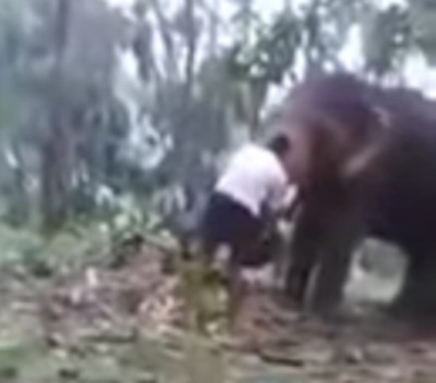Man attempts to perform Baahubali stunt, gets flung by elephant