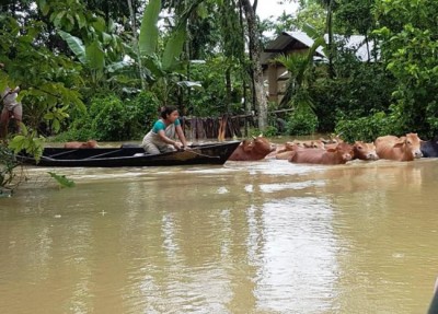 Another spell of flood hits Assam, affects over 3.54 lakh people