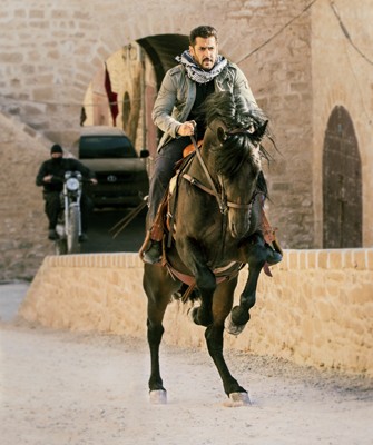 Tiger hunts on a horseback in Morocco!